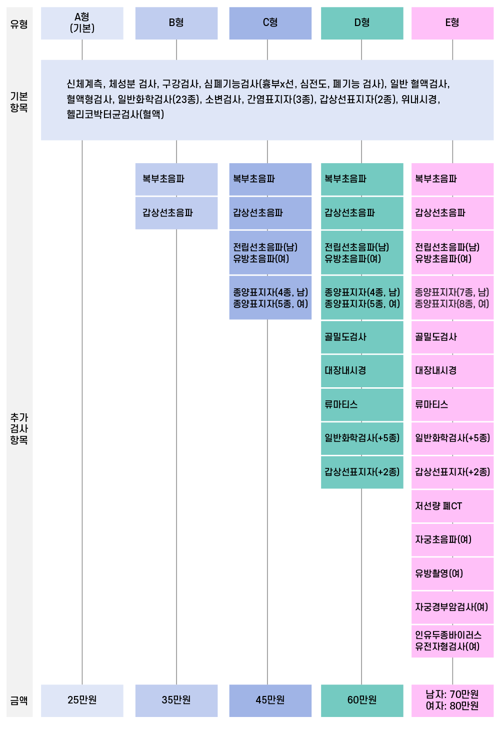 
			종합검진 유형
			1. A형(기본)
			기본 항목 : 신체계측, 체성분 검사, 구강검사, 심폐기능검사(흉부x선, 심전도, 폐기능 검사), 일반 혈액검사, 혈액형 검사, 일반화학검사(23종), 소변검사, 간염표지자(3종), 갑상선표지자(2종), 위내시경, 헬리코박턱균검사(혈액)
			금액 : 25만원
			
			2. B형
			기본 항목 : 신체계측, 체성분 검사, 구강검사, 심폐기능검사(흉부x선, 심전도, 폐기능 검사), 일반 혈액검사, 혈액형 검사, 일반화학검사(23종), 소변검사, 간염표지자(3종), 갑상선표지자(2종), 위내시경, 헬리코박턱균검사(혈액)
			추가 검사 항목 : 복부초음파, 갑상선초음파
			금액 : 35만원
			
			3. C형
			기본 항목 : 신체계측, 체성분 검사, 구강검사, 심폐기능검사(흉부x선, 심전도, 폐기능 검사), 일반 혈액검사, 혈액형 검사, 일반화학검사(23종), 소변검사, 간염표지자(3종), 갑상선표지자(2종), 위내시경, 헬리코박턱균검사(혈액)
			추가 검사 항목 : 복부초음파, 갑상선초음파, (전립선초음파(남), 유방암초음파(여)), (종양표지자(4종, 남), 종양표지자(5종, 여))
			금액 : 45만원
			
			4. D형
			기본 항목 : 신체계측, 체성분 검사, 구강검사, 심폐기능검사(흉부x선, 심전도, 폐기능 검사), 일반 혈액검사, 혈액형 검사, 일반화학검사(23종), 소변검사, 간염표지자(3종), 갑상선표지자(2종), 위내시경, 헬리코박턱균검사(혈액)
			추가 검사 항목 : 복부초음파, 갑상선초음파, (전립선초음파(남), 유방암초음파(여)), (종양표지자(4종, 남), 종양표지자(5종, 여)), 골밀도 검사, 대장내시경, 류마티스, 일반화학검사(+5종), 갑상선표지자(+2종)
			금액 : 60만원
			
			5. E형
			기본 항목 : 신체계측, 체성분 검사, 구강검사, 심폐기능검사(흉부x선, 심전도, 폐기능 검사), 일반 혈액검사, 혈액형 검사, 일반화학검사(23종), 소변검사, 간염표지자(3종), 갑상선표지자(2종), 위내시경, 헬리코박턱균검사(혈액)
			추가 검사 항목 : 복부초음파, 갑상선초음파, (전립선초음파(남), 유방암초음파(여)), (종양표지자(7종, 남), 종양표지자(8종, 여)), 골밀도 검사, 대장내시경, 류마티스, 일반화학검사(+5종), 갑상선표지자(+2종), 저선량 폐CT, 자궁초음파(여), 유방촬영(여), 자궁경부암검사(여), 인유두종종바이러스 유전자형검사(여)
			금액 : 남자 - 70만원, 여자 - 80만원
		